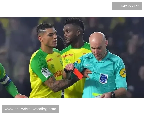 法甲裁判报复球员事件：案例与解决方案