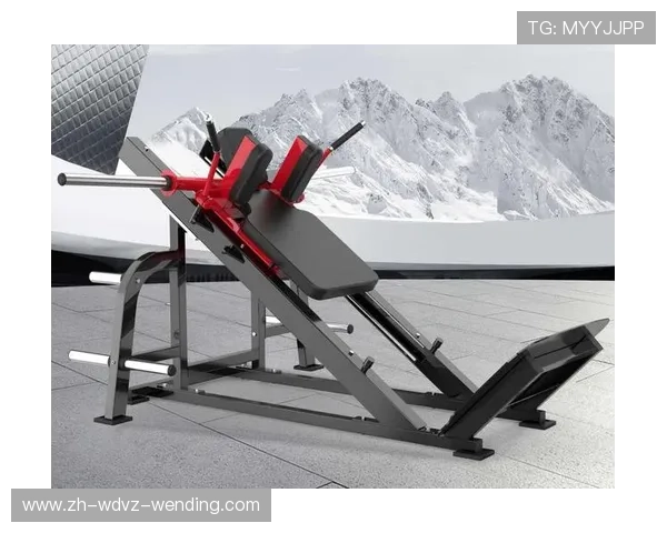 臀外展功能型健身器材结构与主要训练部位介绍